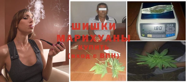сатива Белоозёрский