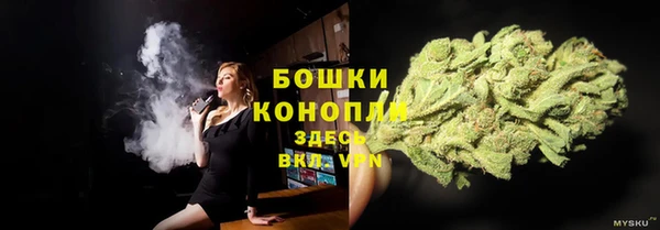 сатива Белоозёрский